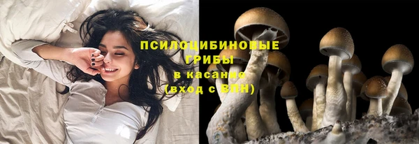 тгк Белокуриха