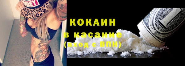 дживик Богданович