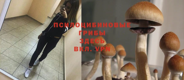 синтетический гашиш Богородск