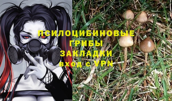 тгк Баксан